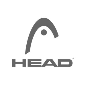 partners with head ski company
