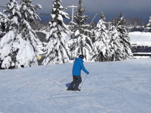 The Perfect Slope Skiing Progression